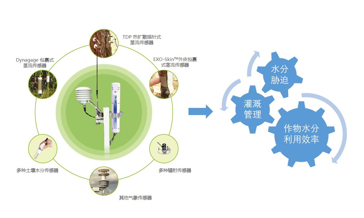利用SapIP分布式植物生理生態(tài)監測系統能做哪些研究？
