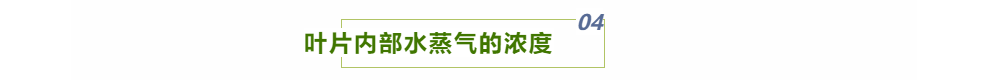 圖片.png