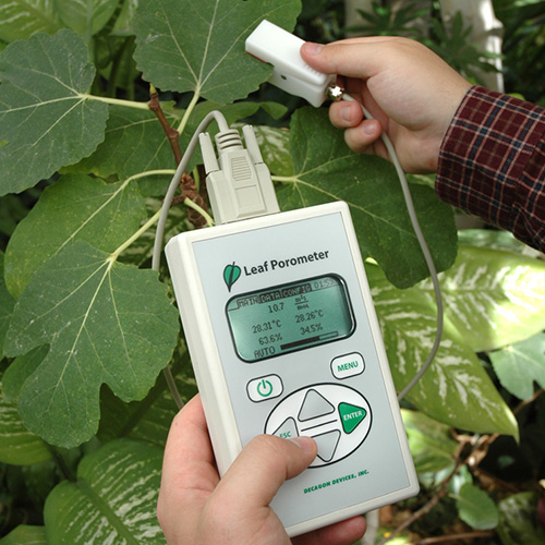 1745897378128633.jpg 1745897378128633.jpg