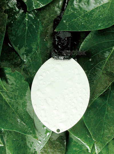 1745982731583511.jpg 1745982731583511.jpg