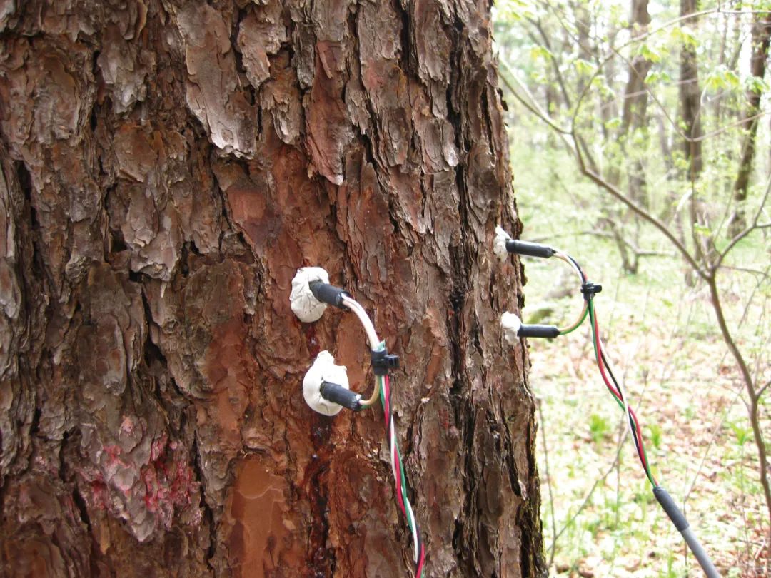 1749697244685358.jpg 1749697244685358.jpg