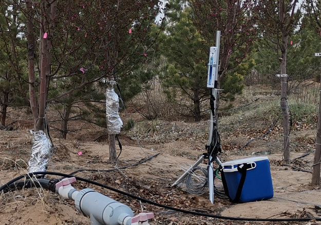 1749704644110179.png 1749704644110179.png