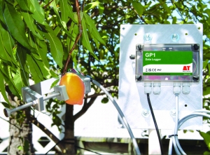 1749709374214041.jpg 1749709374214041.jpg