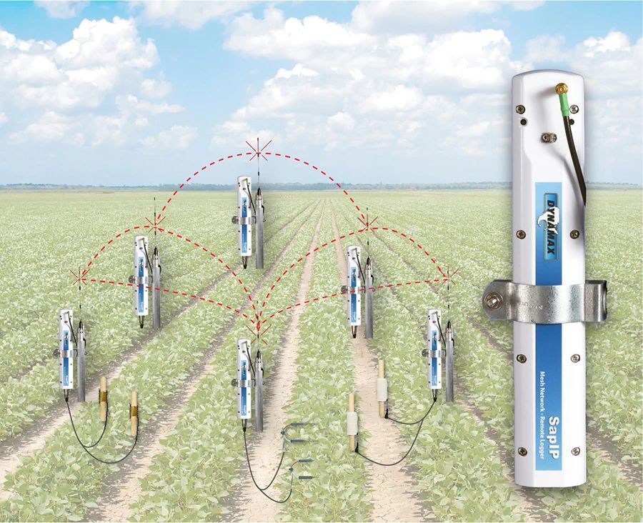 1749712069187768.jpg 1749712069187768.jpg