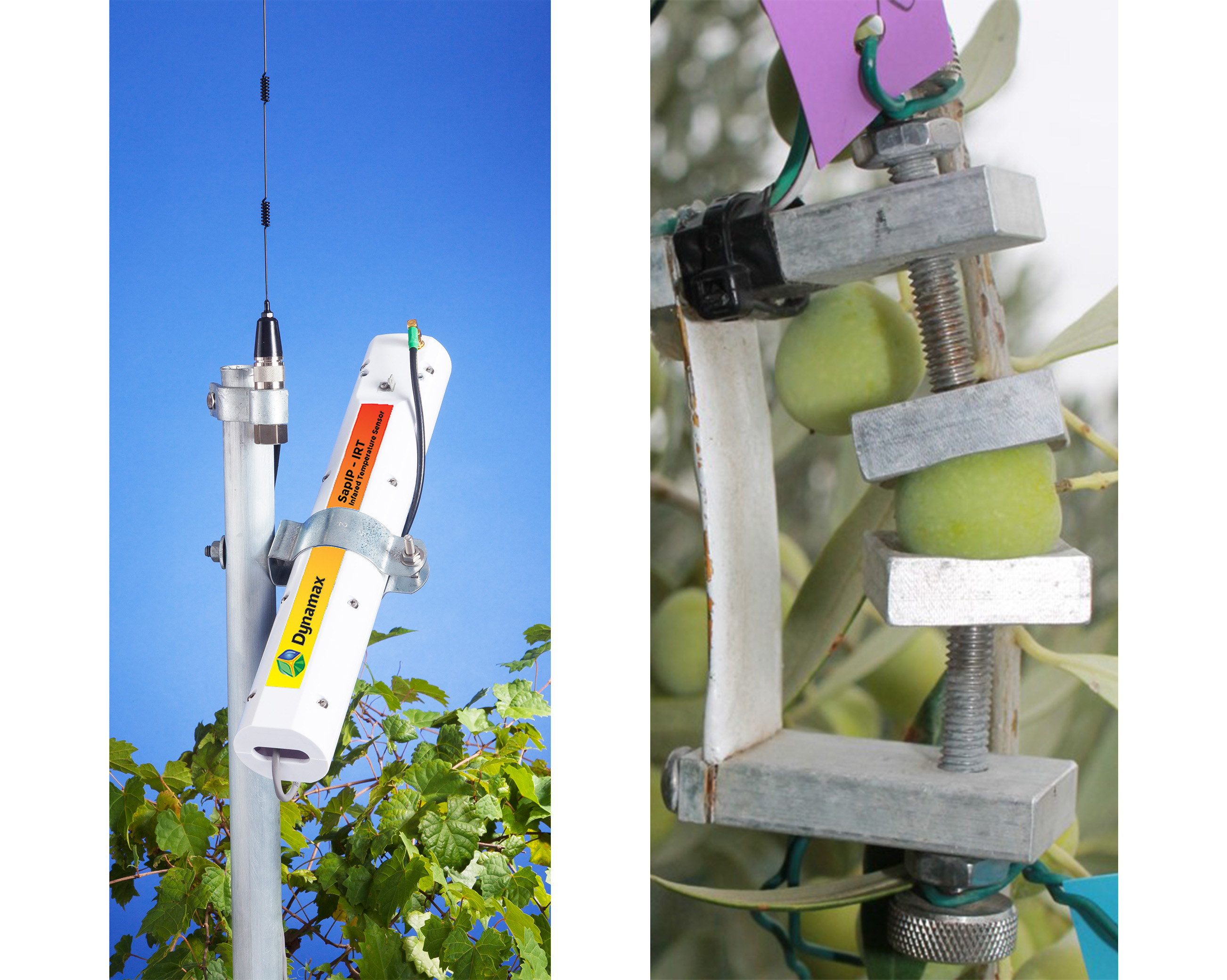 1749713245137195.jpg 1749713245137195.jpg